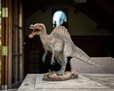 11154093 - spinosaurus -situ1-1.jpg