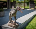 11154093 - spinosaurus -situ3-1.jpg