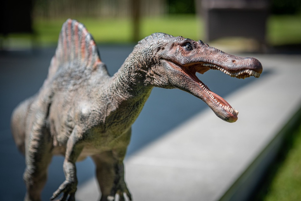 11154093 - spinosaurus -situ4.jpg