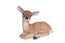 11152956 - GRANDE BICHE COUCHE -3.jpg