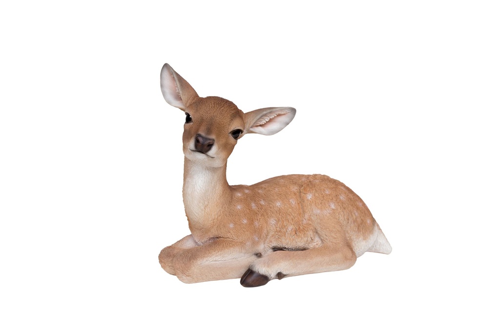 11152956 - GRANDE BICHE COUCHE -2.jpg