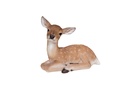 11152956 - GRANDE BICHE COUCHE -2.jpg