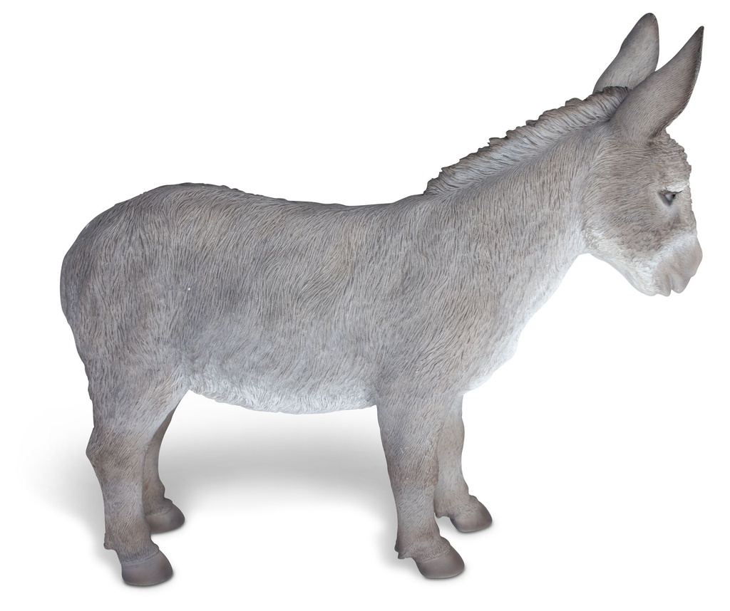 11154074 - Donkey XL -2.jpg