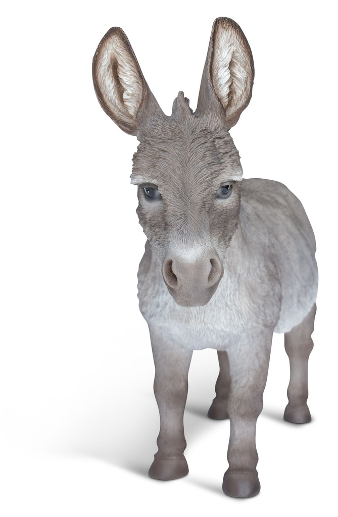 11154074 - Donkey XL -3.jpg