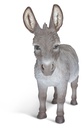 11154074 - Donkey XL -3.jpg