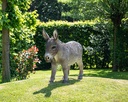 11154074 - Donkey XL -insitu1-1.jpg