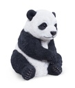 11154076 - PANDA ASSIS -2.jpg