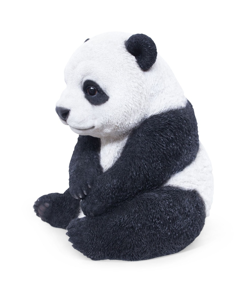 11154076 - PANDA ASSIS -3.jpg