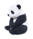 11154076 - PANDA ASSIS -3.jpg