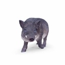 11154089 - GID - Ornaments - XL Wild Boar -3-1.jpg