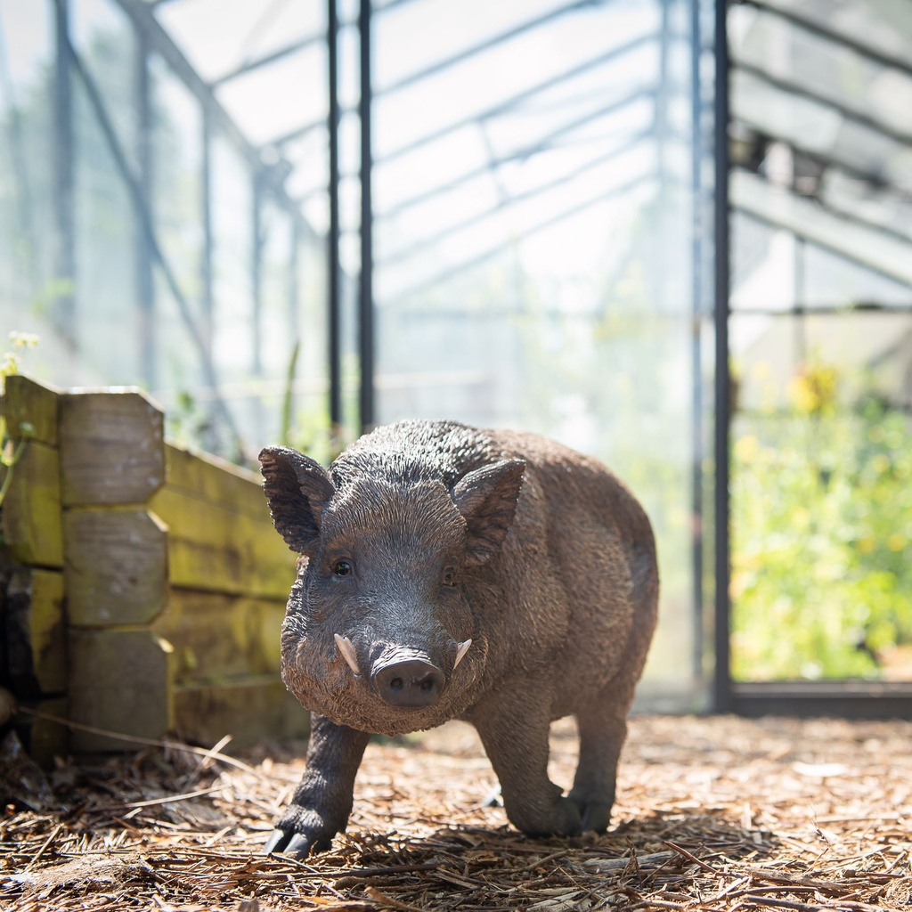 11154089 - GID - Ornaments - XL Wild Boar -in situ1-1.jpg