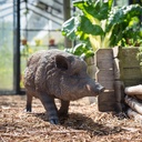 11154089 - GID - Ornaments - XL Wild Boar -in situ2-1.jpg