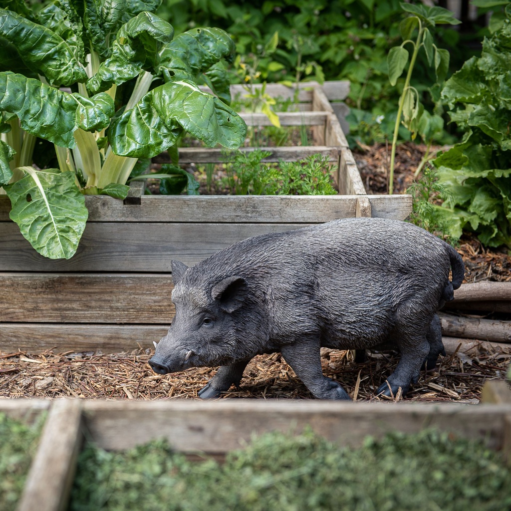 11154089 - GID - Ornaments - XL Wild Boar -in situ4-1.jpg