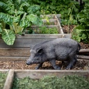 11154089 - GID - Ornaments - XL Wild Boar -in situ4-1.jpg