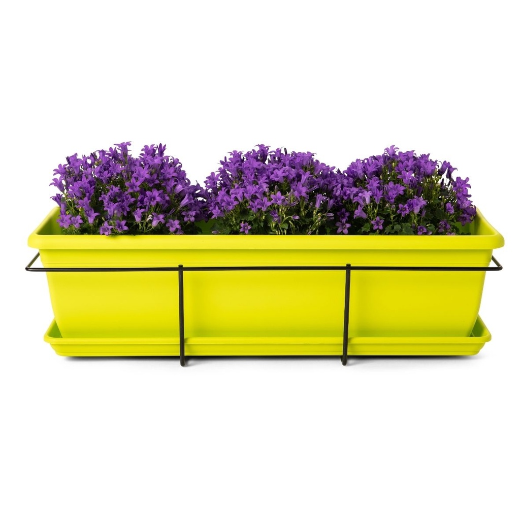 kit relax lime green + flower 1.jpg