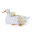 11154145 - duck+babies -3.jpg