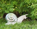 5410527159108 - Ornaments - Style - Snail - White-Silver -insitu1-2.jpg