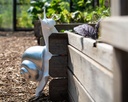 5410527159108 - Ornaments - Style - Snail - White-Silver -insitu2-1.jpg