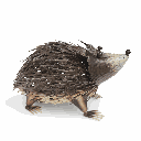 70701161 - 3-1.png