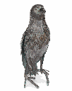70701406 - 2-1.png