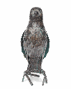 70701406 - 1-1.png