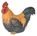 11153070 - xxl cock 4.jpg