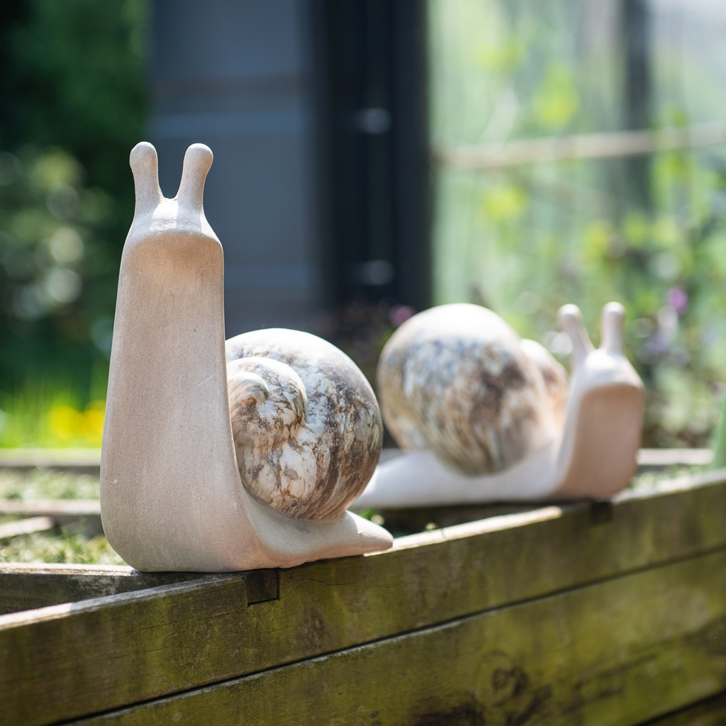 WEB-CERAMIC SNAIL MARBLE