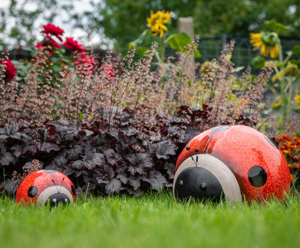 WEB-CERAMIC LADYBUG