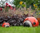WEB-CERAMIC LADYBUG