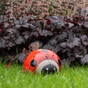 WEB-CERAMIC LADYBUG