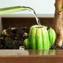 WEB-CERAMIC WATERING SPIKES