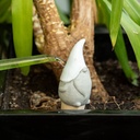 WEB-CERAMIC WATERING SPIKES