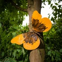 WEB-METAL BUTTERFLY