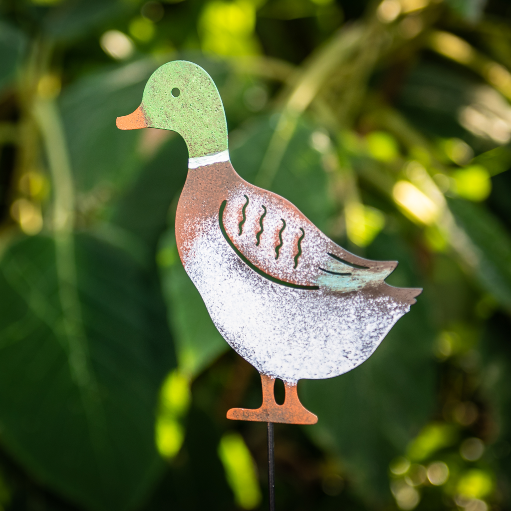 METAL PICK CANARD