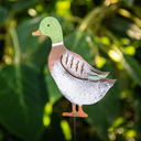 METAL PICK CANARD