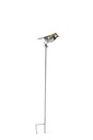 WEB-METAL STAKE BIRDS