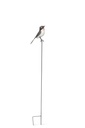 WEB-METAL STAKE BIRDS