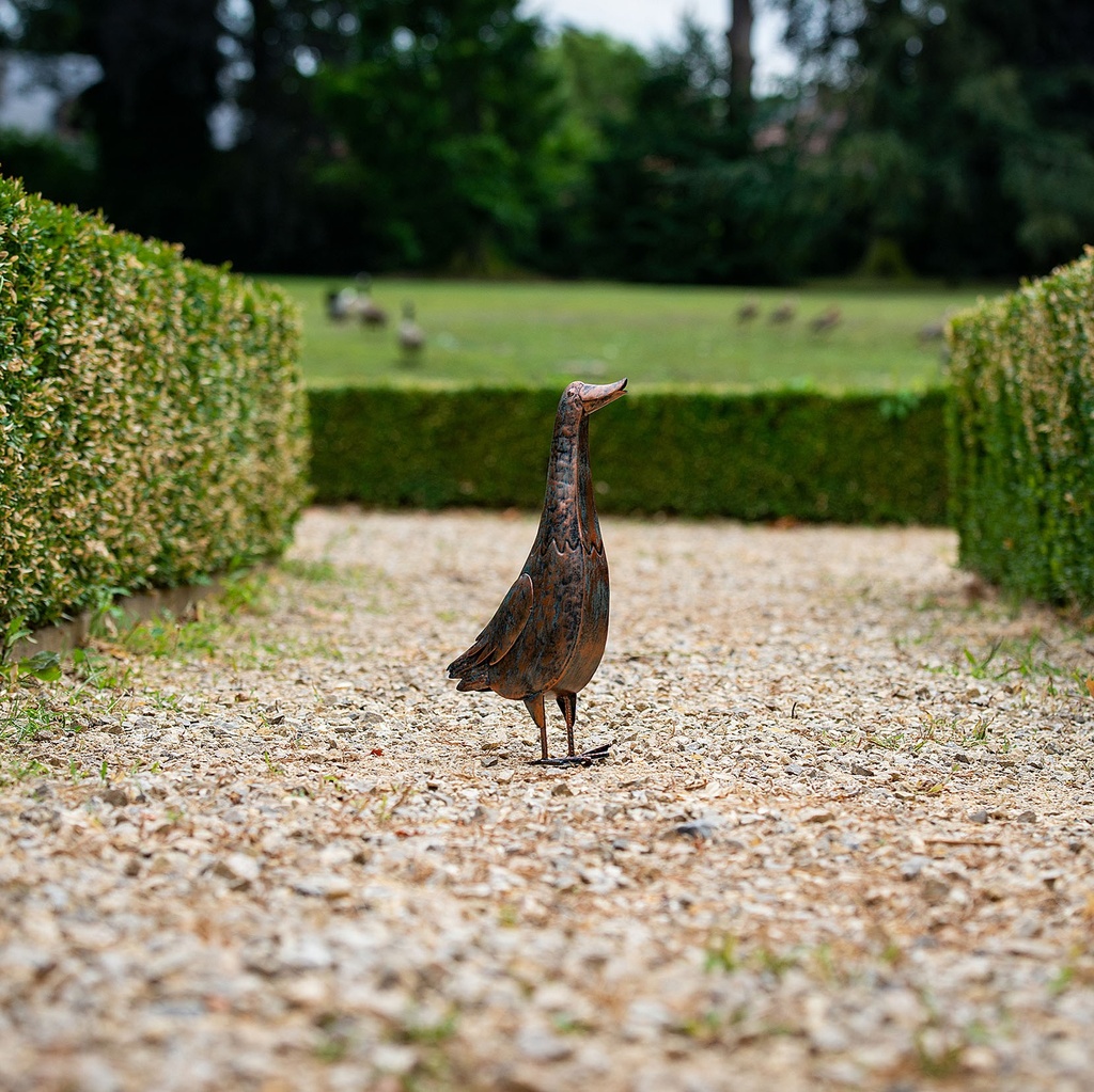 WEB-METAL ANTIQUE DUCK-HEN-ROOSTER