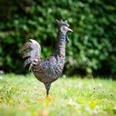 WEB-METAL ANTIQUE DUCK-HEN-ROOSTER