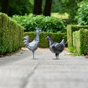 WEB-METAL ANTIQUE DUCK-HEN-ROOSTER