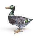 METAL CANARD COLVERT