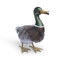 METAL CANARD COLVERT