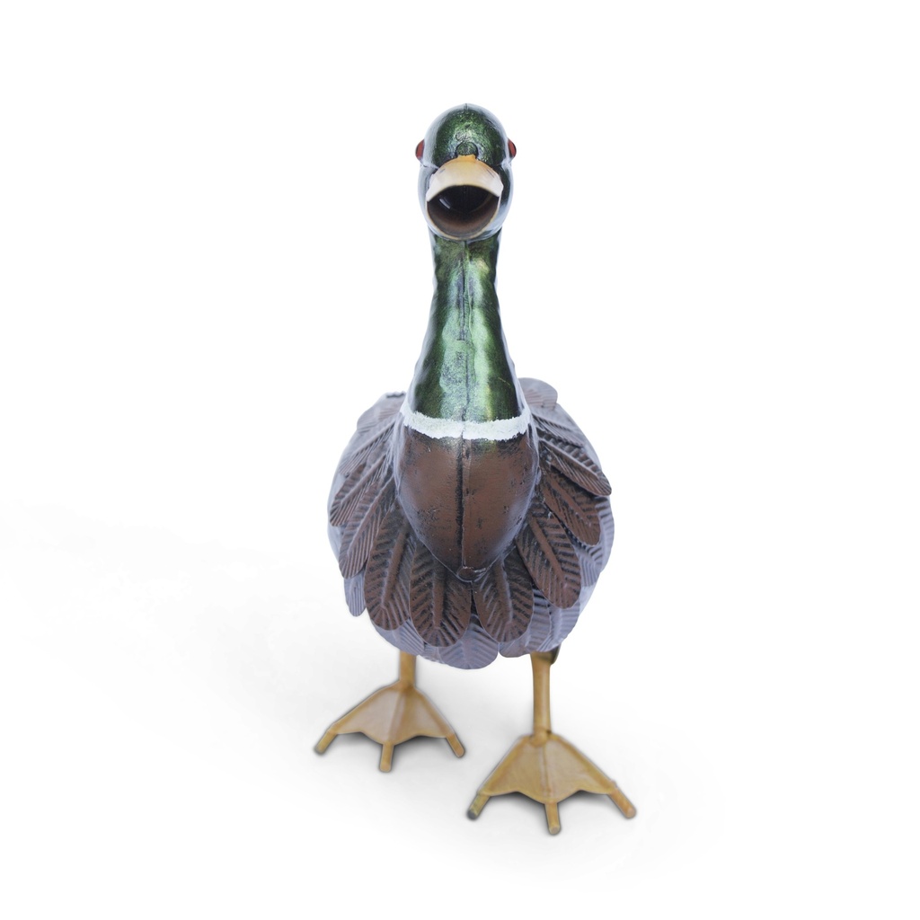 METAL CANARD COLVERT