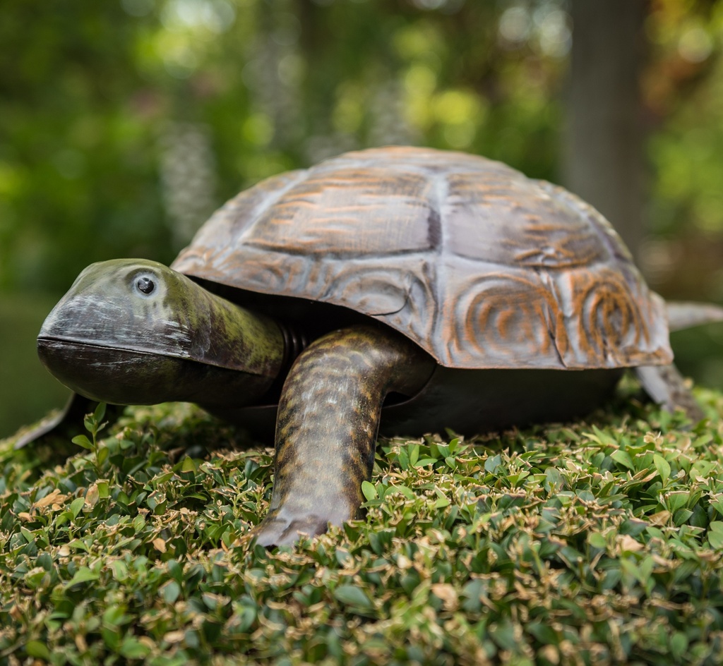 METAL MOBILE TORTUE
