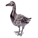 METAL CANARD COTTAGE