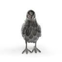 METAL POULE
