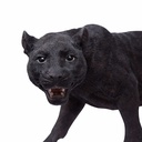 11154071 - GID - Ornaments - XL Black Panther -5 - zoom2-1.jpg