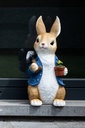 WEB-MR & MRS RABBIT Ø19H42CM
