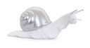 POLYRESINE ESCARGOT STYLE