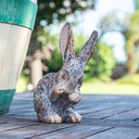 WEB-POLY SMALL RABBITS ROYAL